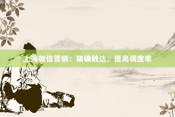 上海微信营销：精确触达，提高调度率